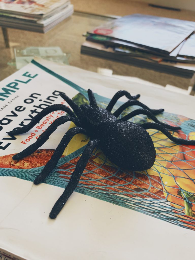 chic halloween decor, faux halloween spider sitting on a stack of magazines