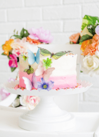 A pink ombre smash cake with butterfly wafers covering the top of the cake for a garden party themed birthday party