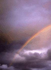 Our Souls Were Not Made for This Much Tragedy