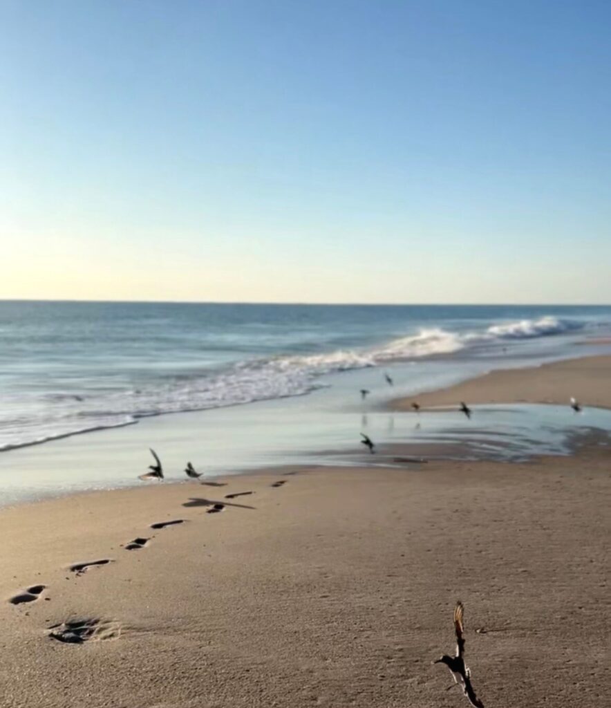 Walking along the beach during a solo trip, solo travel for women experience